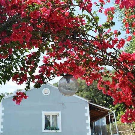 Afroditi Ground Floor